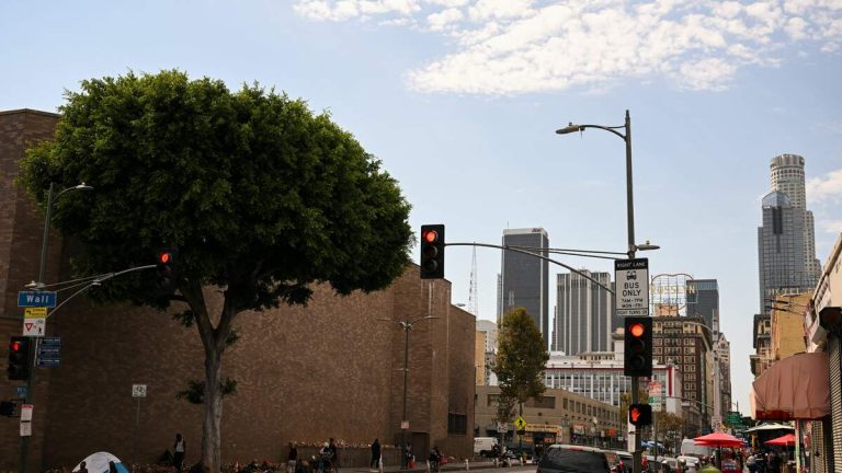 Downtown L.A. Residents in Uproar Over Destroyed Trees as Suspect is Nabbed