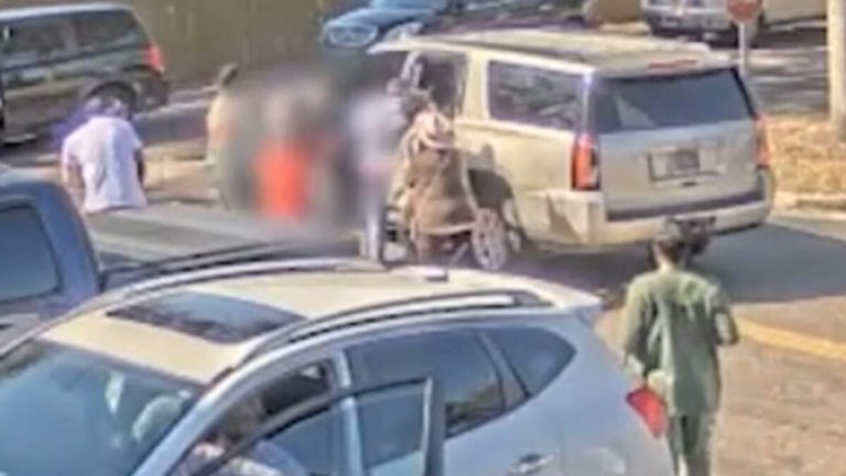 Heroes Stop Kidnapping Of Woman And Her Two Young Children