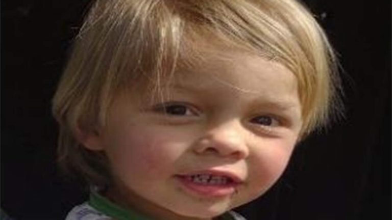 Missing Toddler Saved By Rancher’s Dog After 16 Hours In Rugged Terrain