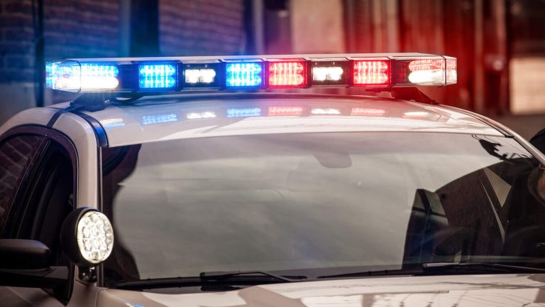 Nearly 800 Illegal Migrants Arrested In Massive ICE Raid