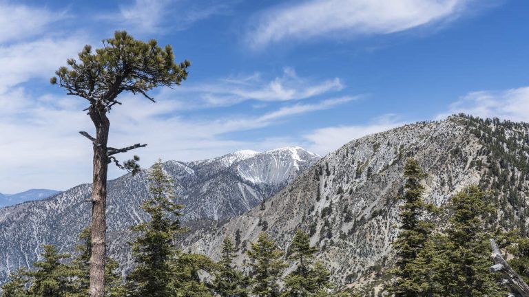 Proposed ‘Fix Our Forests’ Act Aims to Reduce Wildfire Risk