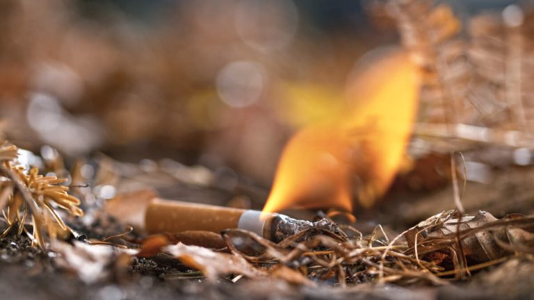 Wildfire Caused By Teens Who Didn’t Put Out Their Cigarettes While Hiking