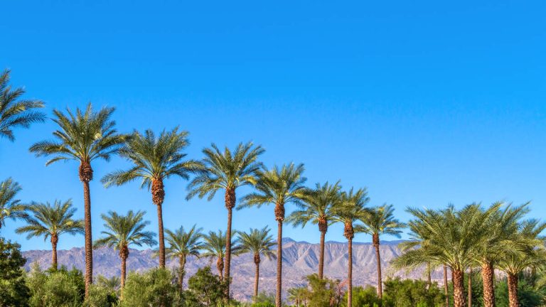 Coachella Valley Expands Affordable Housing Amid State Shortage