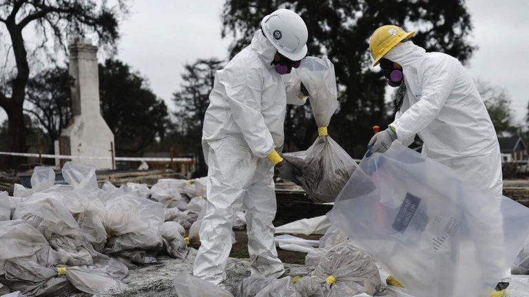 High Lead Levels Found in Soil After L.A. Wildfire Cleanup