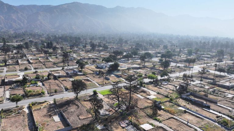 Altadena and Palisades: The Road to Recovery After the Fires