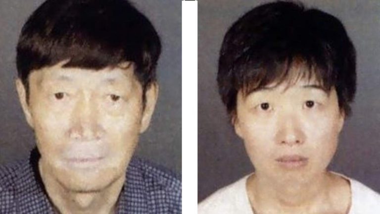 Arcadia Couple’s 21 Surrogate Children in Protective Custody