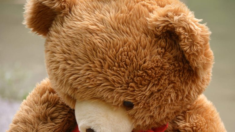 Artist’s Latex ‘Skin Bear’ Sparks Victorville Investigation