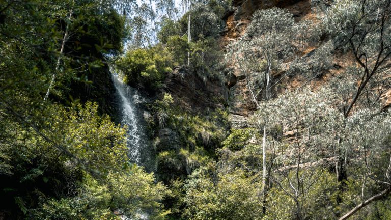 Daredevil Severely Injured After 140 Foot ‘Death Dive’ Goes Horribly Wrong