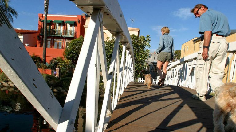 Dogs Die, Are Mysteriously Sickened After Walks Near Venice Canals