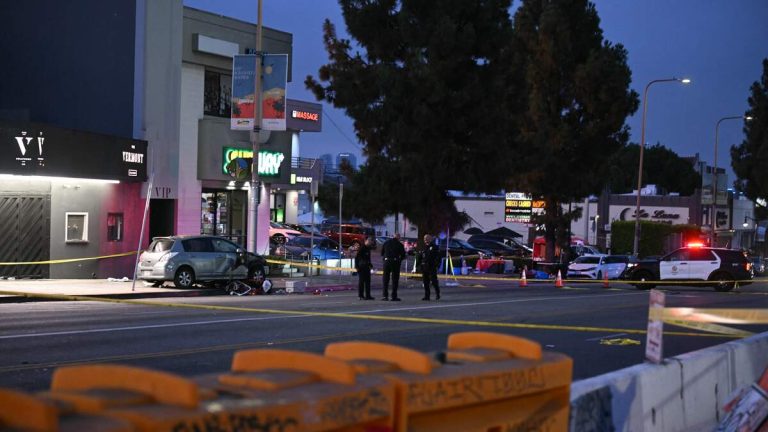 Dozens Injured After Car Plows Through Crowd Outside Music Venue