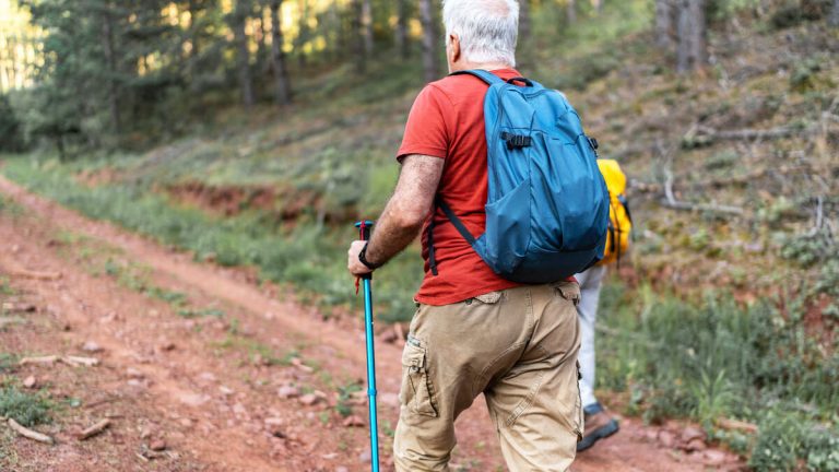 Elderly Man Disappeared On Mountain Trial, Made 911 Call Before His Death