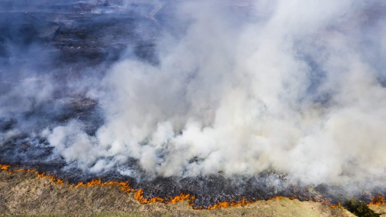 Firefighting Underway in Angeles National Forest