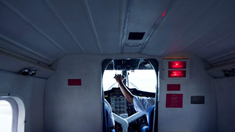 Homeland Security Agents Storm Cockpit To Arrest Co-Pilot