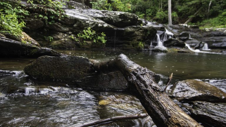 Married Couple Killed While Hiking With Young Daughters