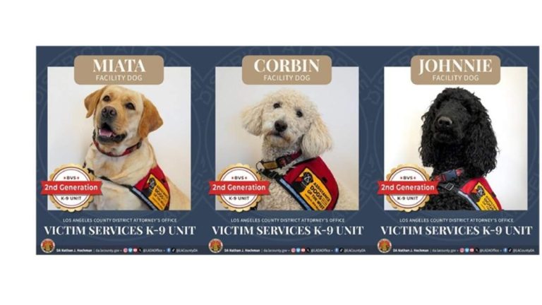 New K-9s Sworn In to Comfort LA County’s Crime Victims