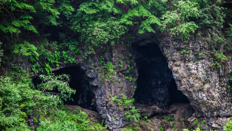 Police Find Woman And Her Two Young Daughters Living In Forest Cave