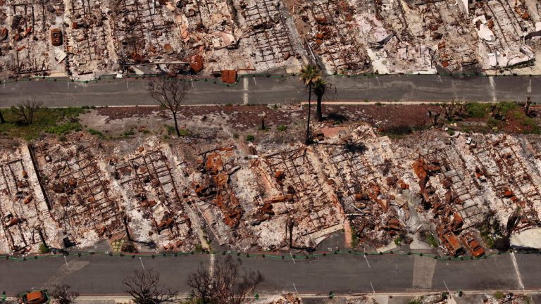 Report: January Wildfire Causes $51.7 Billion Damage in L.A.