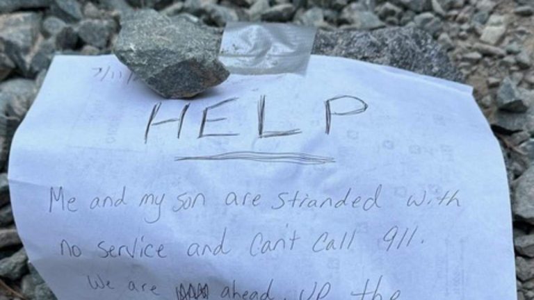 Rescuers Follow SOS Notes In Forest To Find Stranded Mom And Her Son, 9