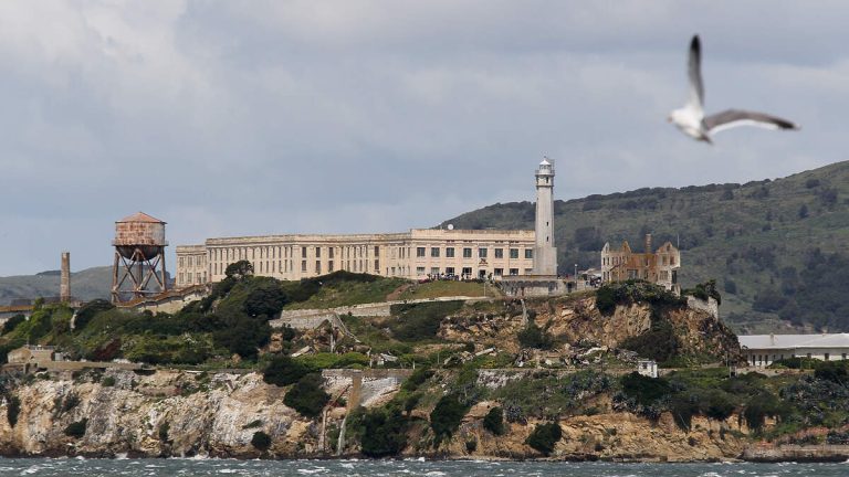 Trump Reignites Plan to Reopen Alcatraz “Surrounded By Sharks”