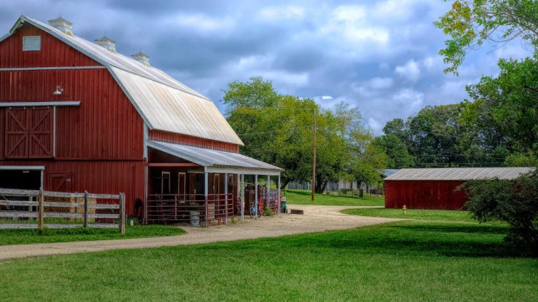 6 Dead After Freak ‘Dairy Accident’ At US Farm