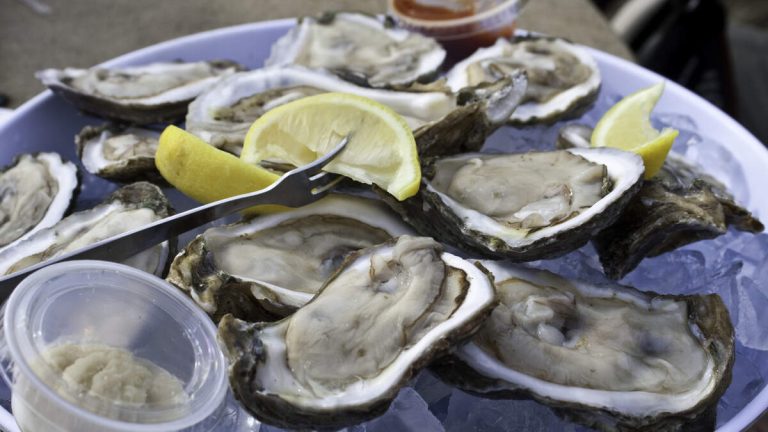 Flesh-Eating Bacteria From Contaminated Oysters Leaves Two Dead