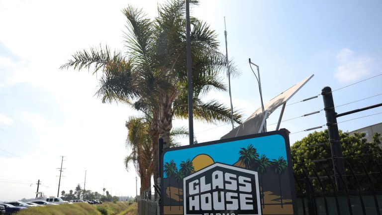 Glass House Brands Overhauls Labor Practices After ICE Raid
