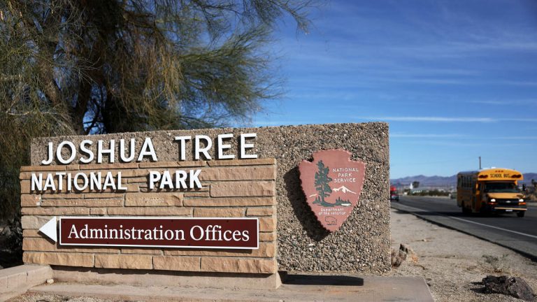Lawsuit Filed Over Glamping Resort Near Joshua Tree