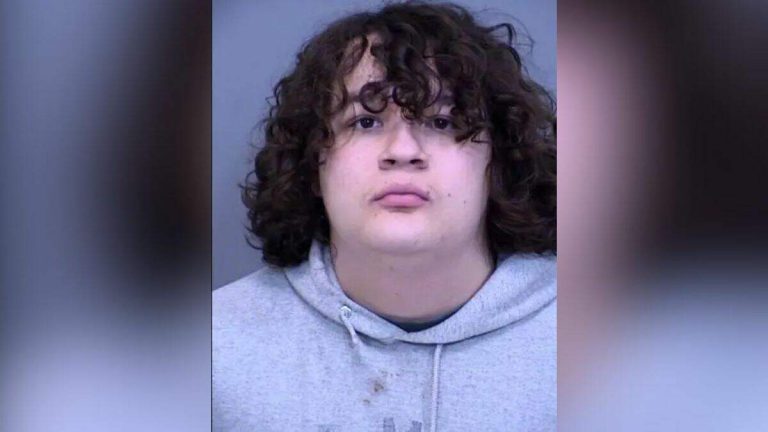 Man Arrested For Striking Child, Her Uncle With Sex Toy At WNBA Game
