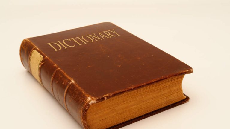 ‘Skibidi,’ ‘Tradwife’ Among 6,000 New Words Added To Cambridge Dictionary