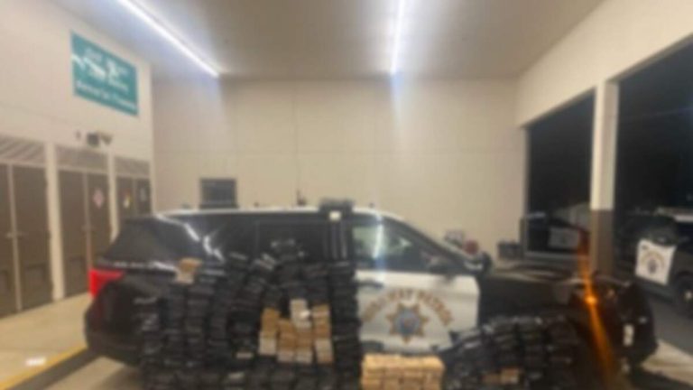 $100M Cocaine Trafficking Ring Busted from L.A. to NYC
