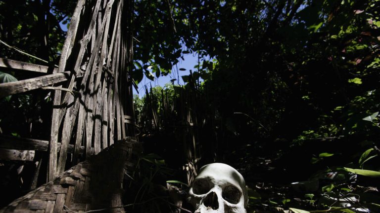 Ancient Skull May Rewrite The Timeline Of Human Evolution