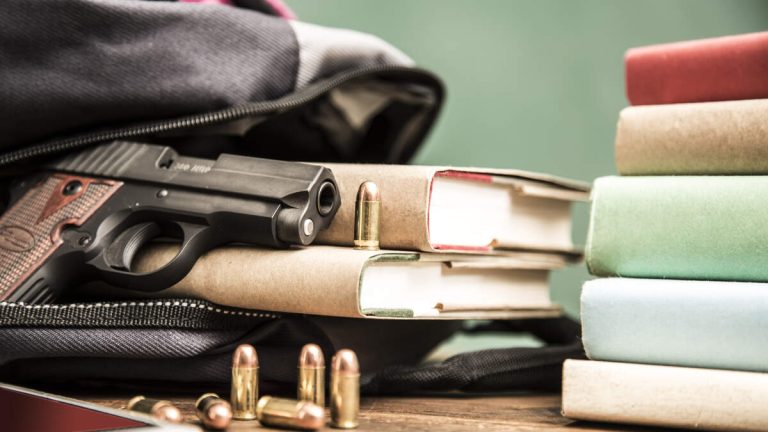 Boy, 13, With ‘School Shooter Ideations’ Had A Large Collection Of Guns