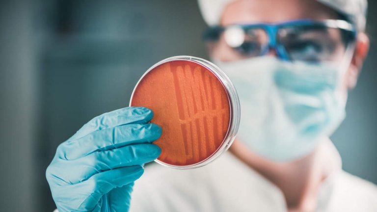 Cases Of Drug-Resistant ‘Nightmare Bacteria’ Are Rising Across The US
