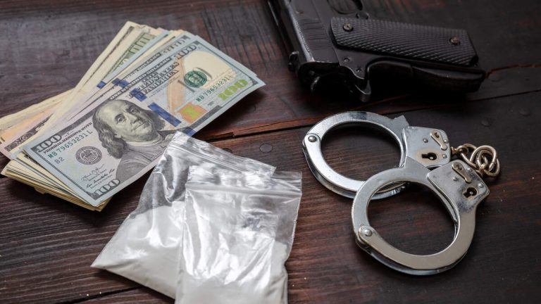 Fentanyl, Firearms, and 22 Dogs Found in Oxnard Raid