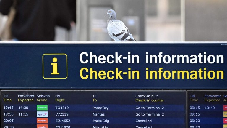 Flights Halted After Drones Spotted Near Major International Airport