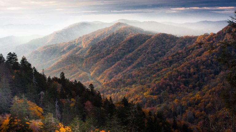 Hiker, 21, Found Dead After Going Missing In Great Smoky Mountains