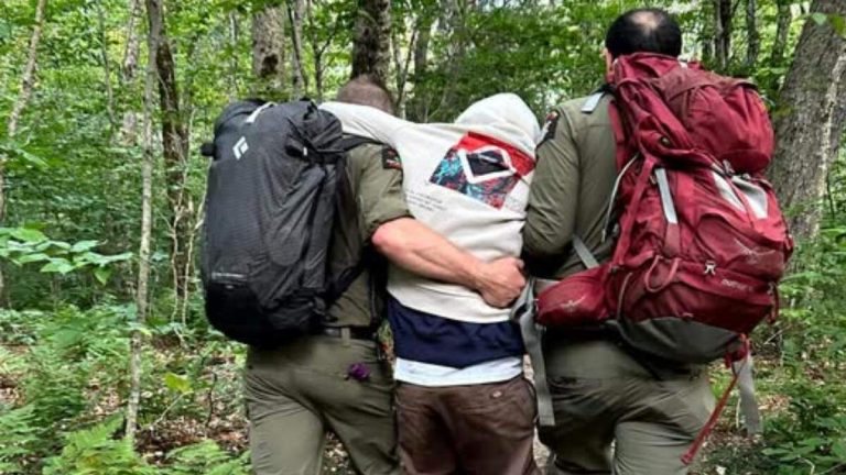 Hikers Rescued After Experiencing ‘Debilitating High’ From Magic Mushrooms