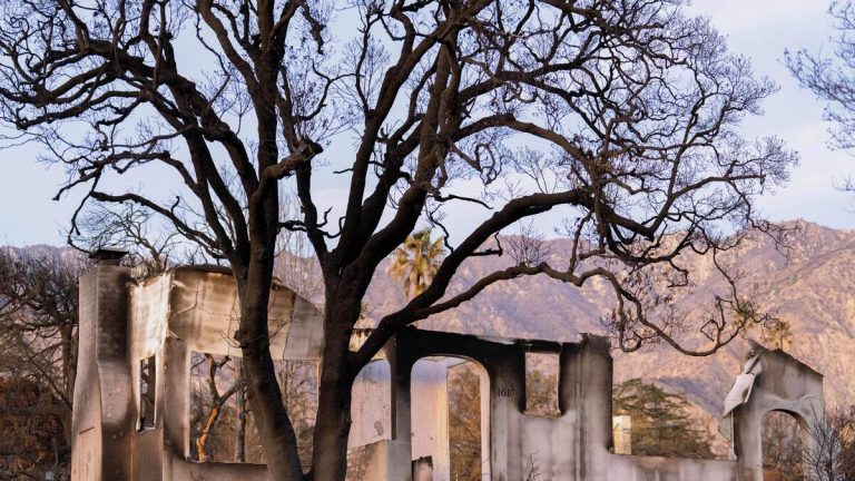 Home Hardening, Defensible Space Double Fire Survival Rates