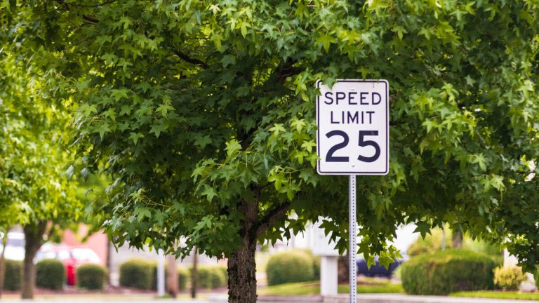 LA Council Calls for Higher Penalties for People Who Harm Trees