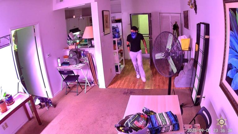 Man Charged with Killing Ex-Roommate’s Dog in WeHo Due in Court