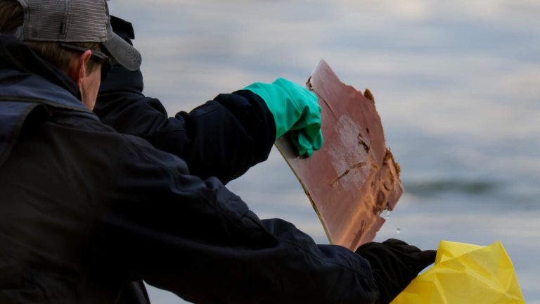 Man Walking His Dog Finds Possible Piece Of DC Plane Crash Wreckage