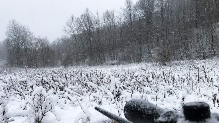 Missing Hunter Survives Two Days In Wilderness Amid Snowstorm