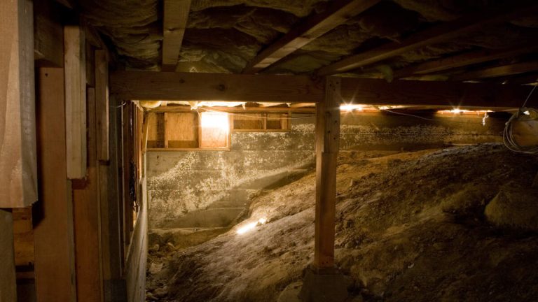 Residents Make Shocking Find After Hearing ‘Strange Noises’ In Crawl Space