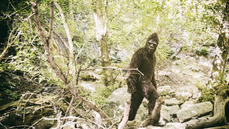Trail Camera Purportedly Captures ‘Bigfoot’ Near Creek In Missouri