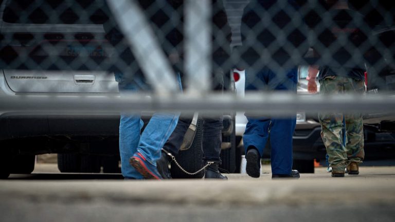 Trump Admin Reveals How Many Illegal Immigrants Removed During 1st 8 Months