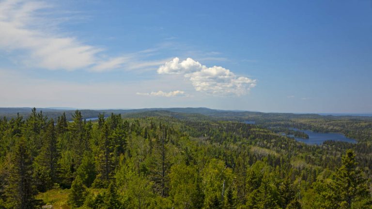Woman Rescued After 18 Hours In Wilderness For YouTube Competition