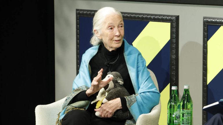 Dr. Jane Goodall Dead At 91