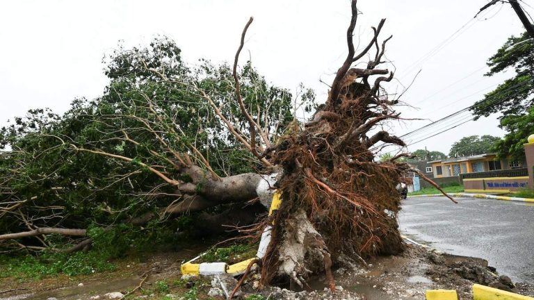 Hurricane Melissa Devastation On Level ‘Never Seen Before’: UN