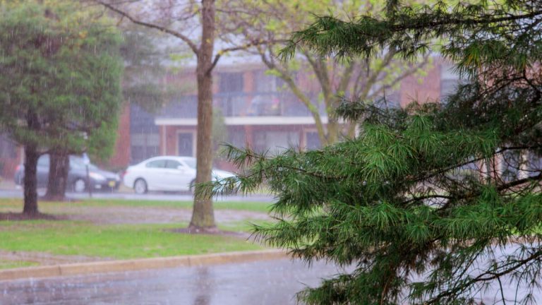 Millions Under Severe Weather Alerts As East Coast Braces For Nor’easter