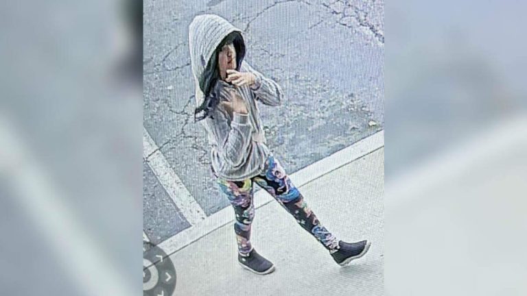 Missing 9-Year-Old California Girl’s Appearance Reportedly Altered With Wig